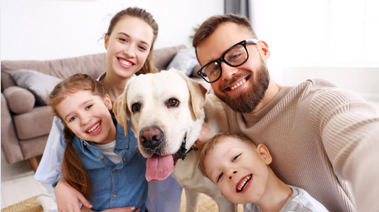 Back-to-School, Not Back-to-Forgotten: How to Help Your Dog Adjust to Fall Routines