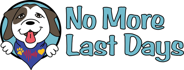 No More Last Days 